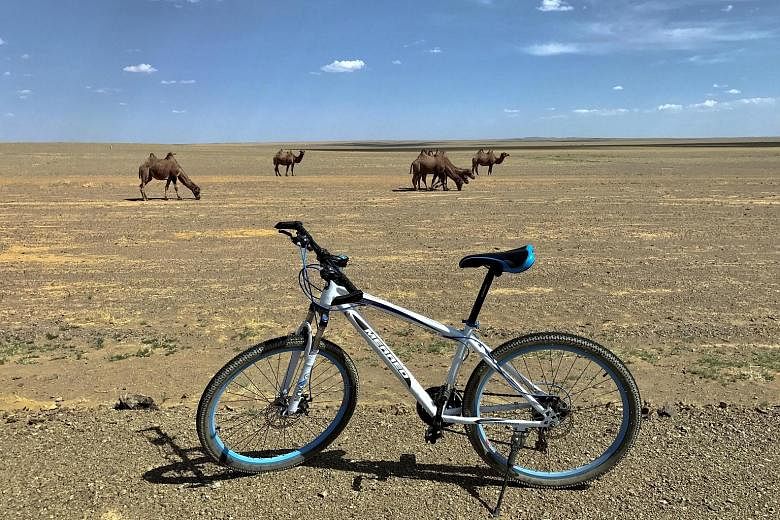 Mr Tay endured 40 deg C heat during his trek through the Gobi Desert, and was forced to continue his journey on bike after losing time when he was laid low by blisters. He and his team pitched tents whenever they could not find people to stay the nig