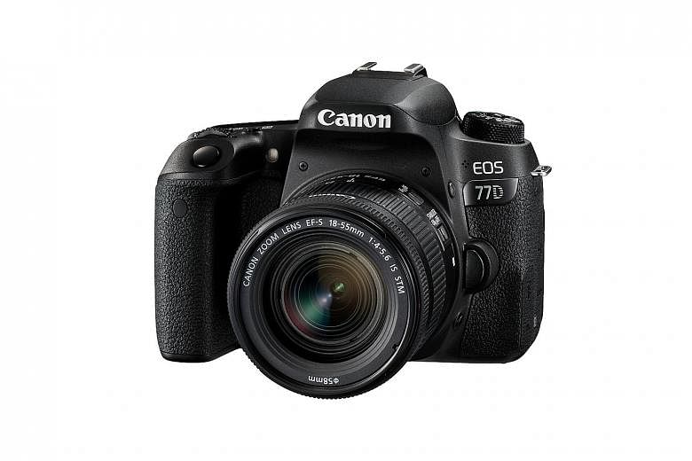 The Canon 77D serves its purpose but paying a bit more for the 80D might be a better move.