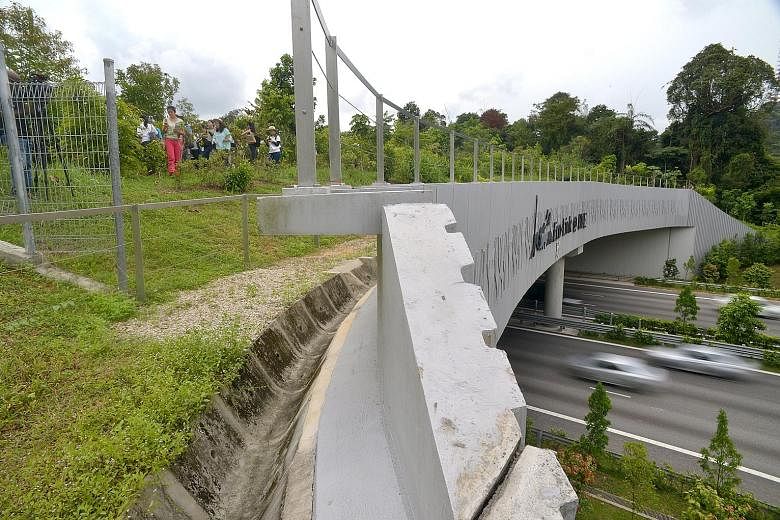 The Eco-Link@BKE across the Bukit Timah Expressway connects the Bukit Timah and Central Catchment nature reserves. Animals such as the critically endangered Sunda pangolin, slender squirrel, common palm civet and various species of birds and snakes h