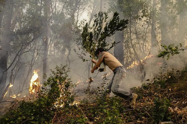 A man fights the flames of a forest fire near the village of Cioga do Campo in Portugal's Coimbra district on Saturday. Emergency services said 268 fires broke out on Saturday, the highest number for any single day this year, with 6,500 firemen fight