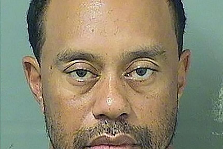 Ex-world No. 1 golfer Tiger Woods, in his booking photo, agreed that he will plead guilty to reckless driving at an Oct 25 hearing and enter a diversion programme that will let him clear his record upon completion.