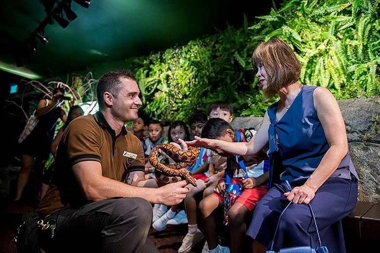 Right: Dr Amy Khor, who was present at the launch of RepTopia yesterday, touching a rainbow boa held by deputy head keeper Jose Cairos. Far right: The critically endangered Electric Blue Gecko, which in the wild exists only in a small, isolated pocke