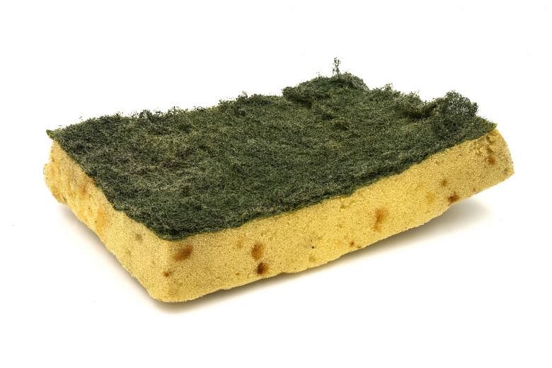 Researchers found that sponges cleaned regularly in soapy water or the microwave harboured more of a usually harmless bacterium.
