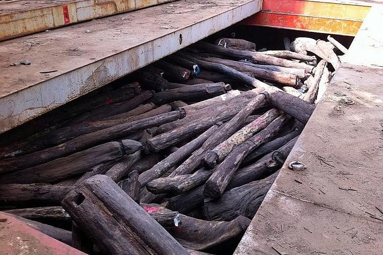 Rosewood logs seized in March 2014 that were worth US$50 million (S$68 million). They were imported by Singaporean businessman Wong Wee Keong and his firm without a permit from AVA.