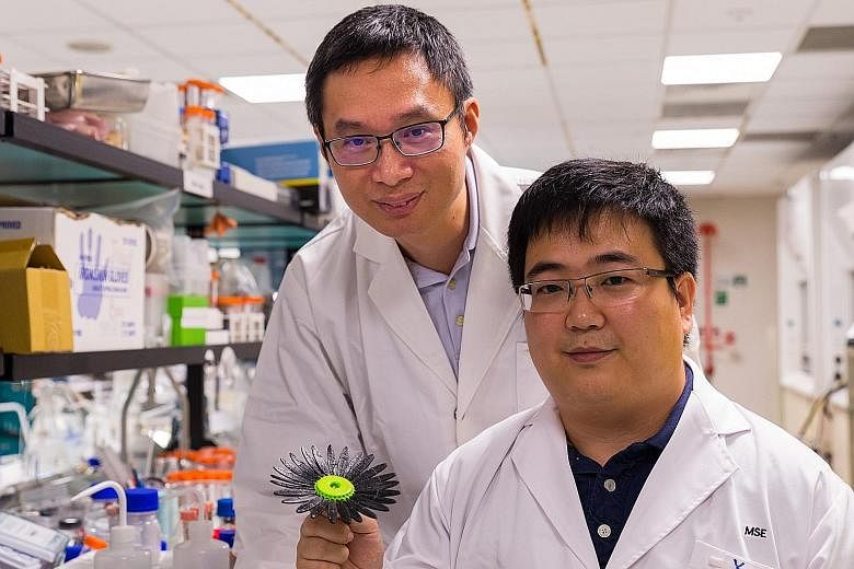 Professor Chen Xiaodong (left) and research fellow Yang Hui with the 3D-printed sunflower. Even after it is forced into the shape of a bud, it regains its original form in less than five minutes with a dose of ultraviolet rays.