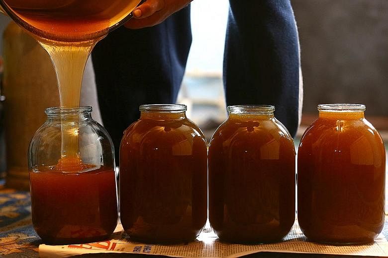 Archaeologists have found 3,000-year-old honey in Egyptian tombs that were perfectly edible. This is because honey is low in water content and high in sugar, and bacteria cannot thrive in it.