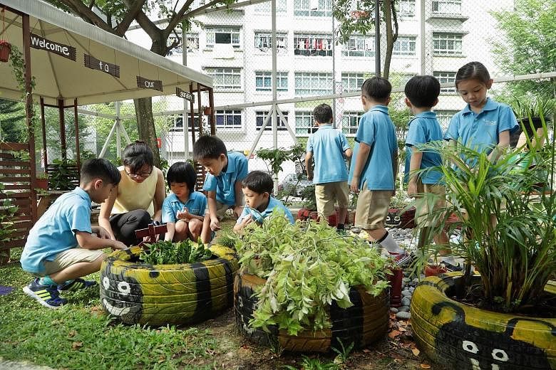 MOE Kindergarten @ Punggol View is one of 15 kindergartens currently run by the Ministry of Education. By 2023, MOE will run 50 kindergartens, Prime Minister Lee Hsien Loong announced at the National Day Rally on Sunday.