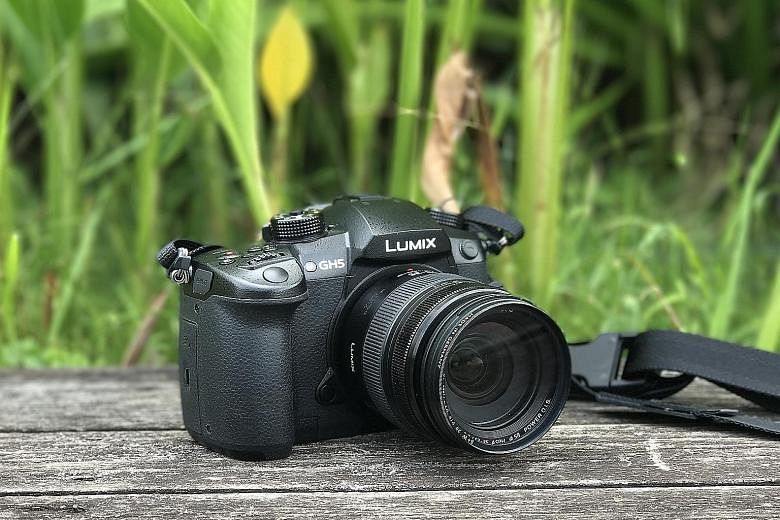 The combination of a great grip, intuitive button layout, a sharp EVF and great touchscreen display makes the Lumix DC-GH5 a joy to handle.