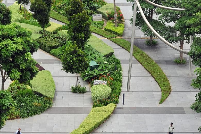 Flowering shrubs and shade trees line the Marina Bay Waterfront Promenade. The writer says well-designed walkways create a better walking experience, which will encourage people to increase their physical activities.