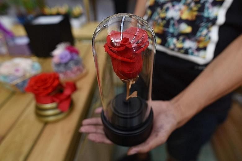 Florist An Shuai displaying a single dried rose at a flower market in Beijing. Buying themselves flowers is one way singles in China celebrate the country's version of Valentine's Day, which falls on the seventh day of the seventh month of the lunar 