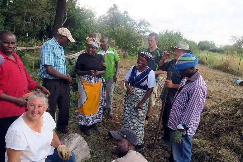 Migrants from the landlocked country of Burundi, in central Africa, at a composting workshop with locals in the regional city of Mildura, in south-east Australia. Mainly refugees, they are farming on land - "dead land" ravaged by drought - donated by