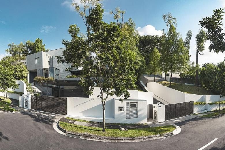 The adjacent bungalows in Peirce Road, near the Botanic Gardens, are being sold together. They are among six bungalows there bought by developer Simon Cheong in early 2006.