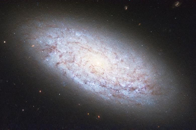 Dwarf galaxy NGC 5949, seen here in an image taken by the Hubble Space Telescope, sits at a distance of around 44 million light years away from Earth, which places it within the Milky Way's cosmic neighbourhood. Hence, NGC 5949 is considered a perfec