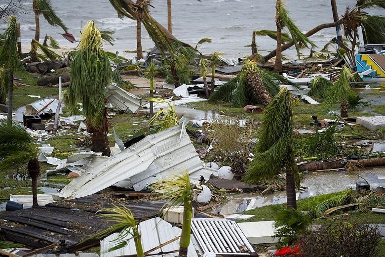 Destroyed palm trees outside a hotel in Marigot, on the island of Saint Martin, after the passage of Hurricane Irma on Wednesday. France, the Netherlands and Britain are sending emergency rations.