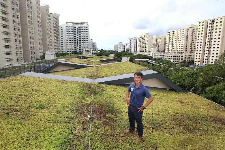 Mr Zac Toh on the green roof of 119, Edgefield Plains, a multi-storey carpark in Punggol. The space was developed by Mr Toh's firm GWS Living Art, which focuses on urban green technology. The 25-year-old was crowned Singapore's Young Green Innovator 