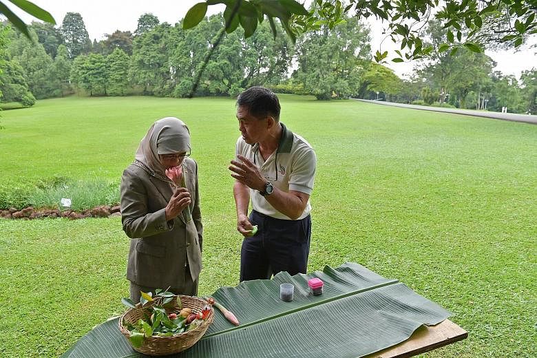 Left: Madam Halimah touring the grounds with (from far left) Principal Private Secretary to the President Benny Lee; head of Istana Programmes and Household Sunny Seah; and NParks group director (Fort Canning and Istana) Wong Tuan Wah. Above: Madam H