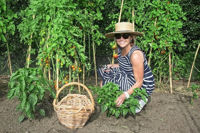 Television journalist Katie Couric (left) in her vegetable garden, where she grows tomatoes, eggplants, zucchinis, lettuces and herbs, at her home in East Hampton, New York. Vegetables, flowers and herbs at Meadowlark Lane in Bridgehampton, New York.