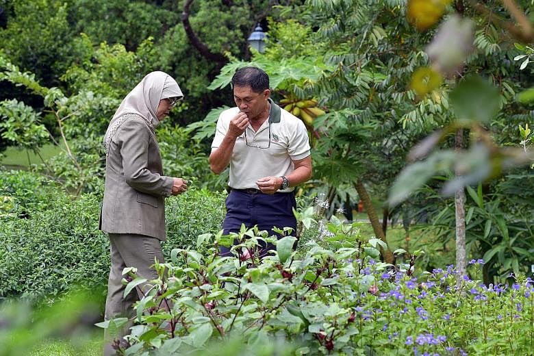 The new President and NParks' group director (Fort Canning and Istana), Mr Wong Tuan Wah, in the gardens of the Istana last Thursday. She wants to make the compound more accessible to the public. Madam Halimah meeting supporters at the People's Assoc