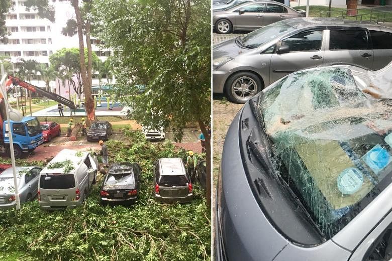 Tree Splits Falls On 8 Cars In Marsiling Carpark The Straits Times