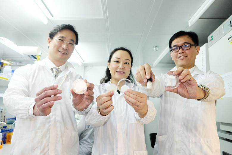 (From left) Dr Marcus Wong, Prof Cleo Choong and Prof Andrew Tan with the various types of materials that can contain a protein called ANGPTL4, which include a sponge, filler, gel patch and hydrogel. The protein, found in abundance in fat tissue, was