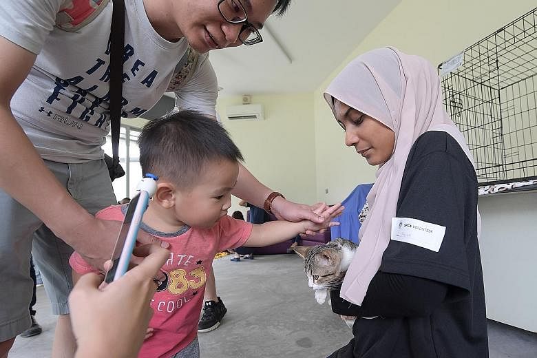 SPCA volunteer Ayesha Thasneem, 22, holding three-month-old cat Hodor for Mr Sunny Leong, 38, and his son Damien, two.