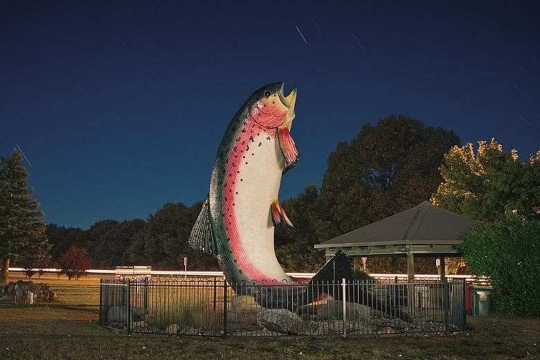 The Big Prawn (above) in Ballina, on the north coast of New South Wales, and the Big Trout at Adaminaby in south-west New South Wales. First installed to attract visitors in the 1960s, there are now 200 or more "big things" around Australia.
