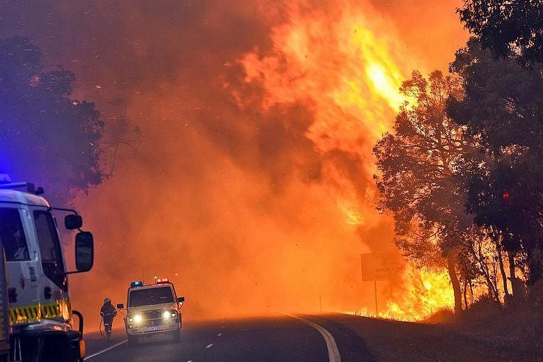 An out-of-control bushfire in Western Australia early last year. The increase in Australian summer temperatures indicates that other major cities in the country should also be prepared for unprecedented future extreme heat, said climate scientist Sop