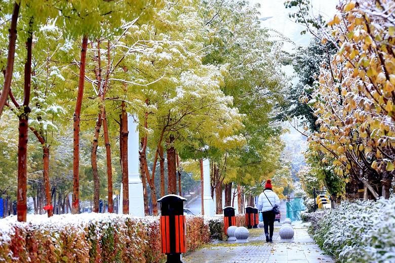 The cold front has brought snow to the Hami prefecture in the Xinjiang Uighur autonomous region in north-western China.