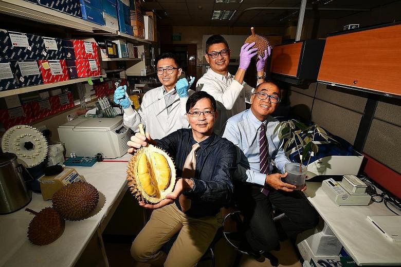 (Clockwise from top left) Dr Yong Chern Han (holding a pipette and test tube), 39, research fellow, Cancer & Stem Cell Biology Programme, Duke-NUS Medical School; Mr Cedric Ng, 46, senior research associate, National Cancer Centre Singapore (NCCS); P