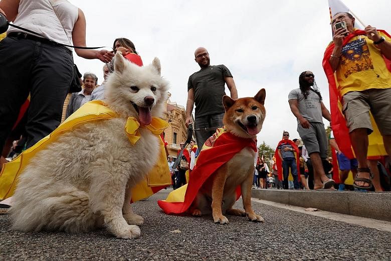 People out with their pets to celebrate Spain's national day yesterday in the Catalan capital Barcelona, where separate pro-unity rallies were held. Catalans are roughly evenly split on the independence issue, going by polls.