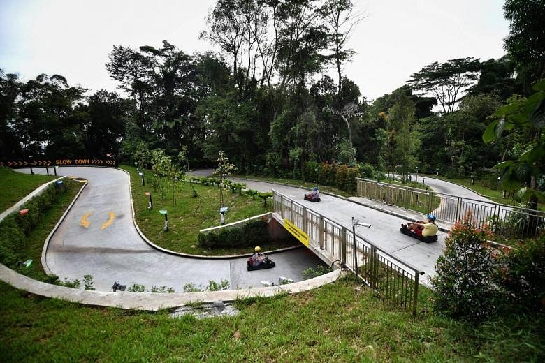 Luge Tracks  Skyline Luge Singapore