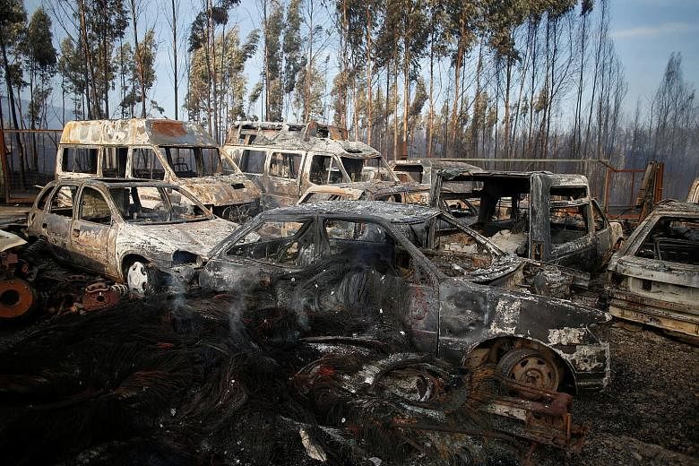 The aftermath of a forest fire in Miro, near Penacova in Portugal, yesterday. The country's civil protection agency says the 15 biggest fires have been brought under control.