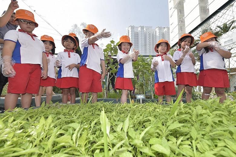 Children from PCF Sparkletots Preschool@Bukit Gombak Block 395A taking a break at a small plot of Chinese spinach that they grew. The plot is in a garden along the Bukit Gombak-Hong Kah North trail, one of two new community garden trails launched on 