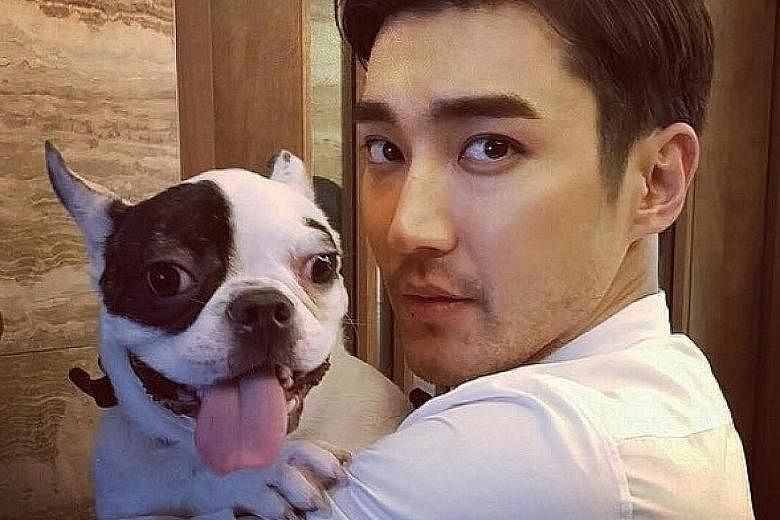 A restaurateur died after being attacked by Choi Si Won's French bulldog (both above).