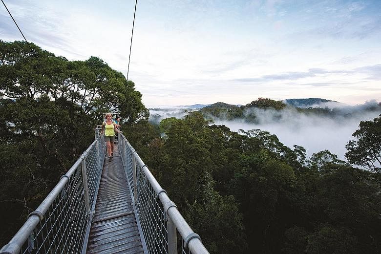 Hiking is one of the popular activities in Brunei. More than 70 per cent of the land is covered by lush rainforests.