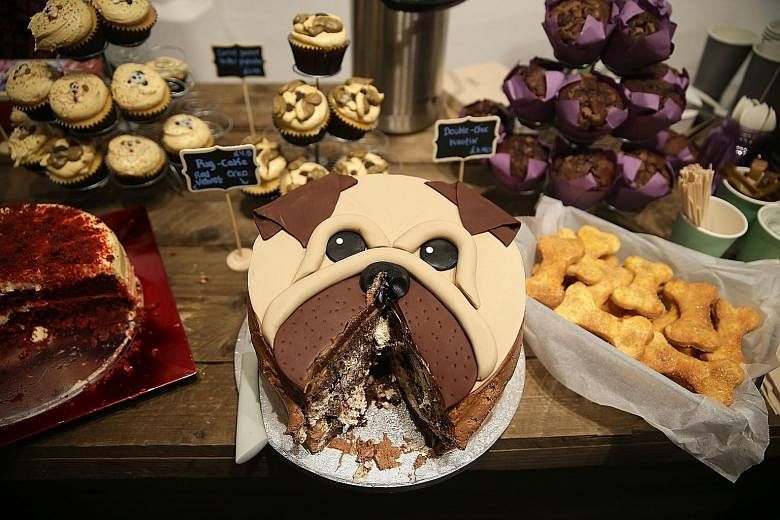 Dog-themed food (above) at a pop-up pug cafe in London's Brick Lane that also allows visitors to take selfies (left) with pugs.