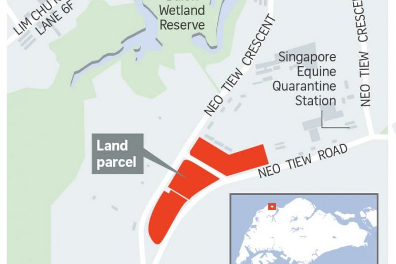 3 land parcels for foodfish farming in Lim Chu Kang up for tender