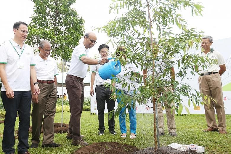 Deputy Prime Minister Tharman Shanmugaratnam planted a kayu arang tree, native to Singapore, at yesterday's Clean and Green Singapore carnival. With him were (from left) Mayor Teo Ho Pin, Environment and Water Resources Minister Masagos Zulkifli and 