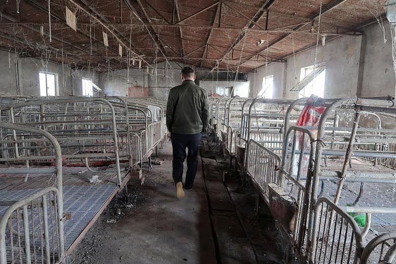 Almost one year after a government notice to shut his pig farm on the outskirts of Beijing, Mr Zhang Faqing is still waiting for millions of yuan in compensation. "I had to sell (my pigs) at whatever price the buyers offered, so I basically sold the 