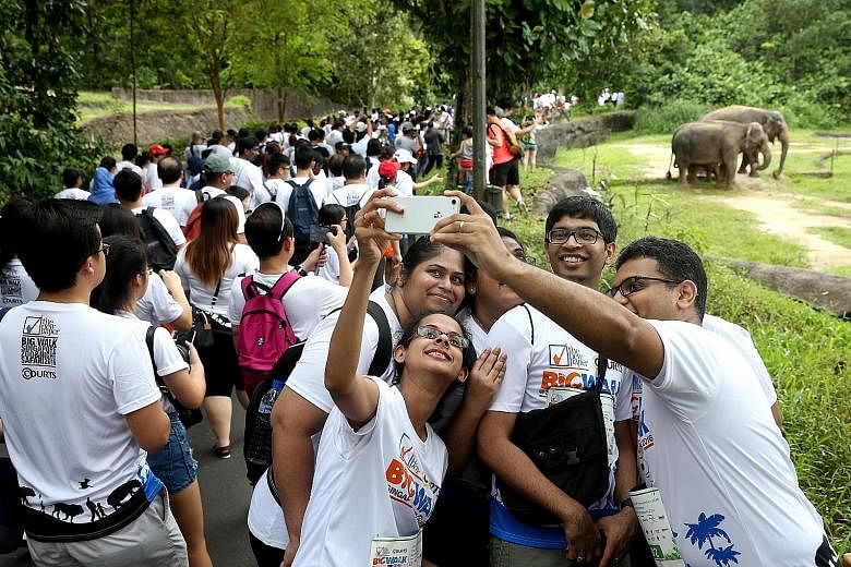 Last year's TNP Big Walk was held at the Singapore Zoo and Night Safari. This year, the event is returning to the National Stadium on Nov 26 after more than a decade. Participants stand to win lucky draw prizes worth a total of $17,000.