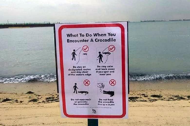 Signs have been put up at the beach near the National Sailing Centre advising beachgoers on what to do if they encounter a crocodile.
