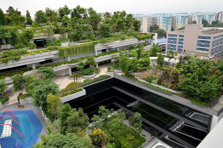 The 11-storey Kampung Admiralty complex has has a combined rooftop community park, edible garden and rainwater catchment area on levels six to nine.