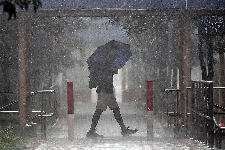 A man braving a downpour in Tampines Street 82 yesterday afternoon. Thundery showers struck most parts of Singapore yesterday, with Khatib logging the heaviest rainfall for the day as of 8pm, according to the Meteorological Service Singapore. The isl