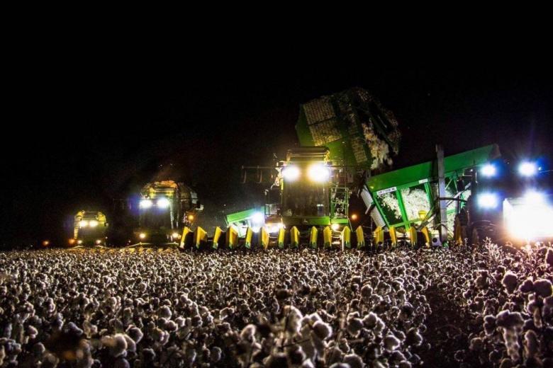 goes wild over photo of cotton field mistaken as music