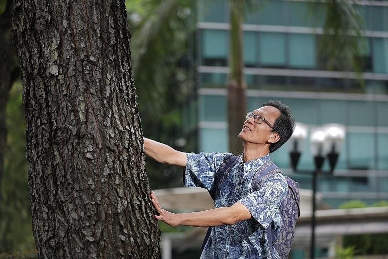 Dr Shawn Lum received the President's Award for the Environment for his significant involvement in biodiversity projects in Singapore. He had cared for the seeds of the endangered Hopea sangal like they were his children and helped them grow into str
