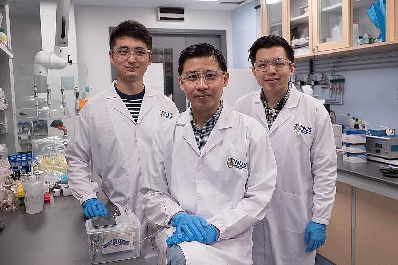 (From left) PhD student Ren Dan, Assistant Professor Jason Yeo and research assistant Nicholas Loo make up the NUS team that have developed an artificial photosynthesis system to produce ethylene using copper, carbon dioxide and water.