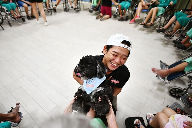 Volunteer Christopher Kok, 43, and his 11-year-old male cocker spaniel, Smoky, interacting with the elderly at Ren Ci Nursing Home on Oct 22. There were about 15 volunteers, two dogs and 20 beneficiaries for the Healing Paws programme at Ren Ci on the day