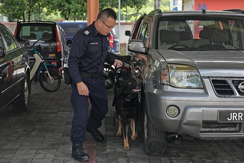 Senior Staff Sergeant Wong Wenxiong leads Esso through a training session at Mowbray Camp. The dog sniffs at various cars, and sits when it reaches a red one, indicating that it has detected a bomb.