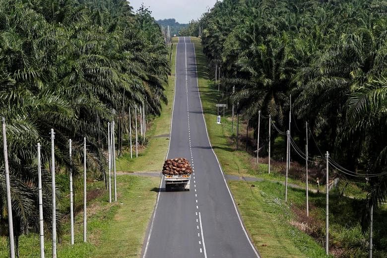 Oil palm fruits being transported through Felda Sahabat plantation in Lahad Datu in Malaysia's state of Sabah on Borneo island. Palm oil prices for the rest of this year are forecast to remain firm, given the seasonally strong fourth quarter, said Bl