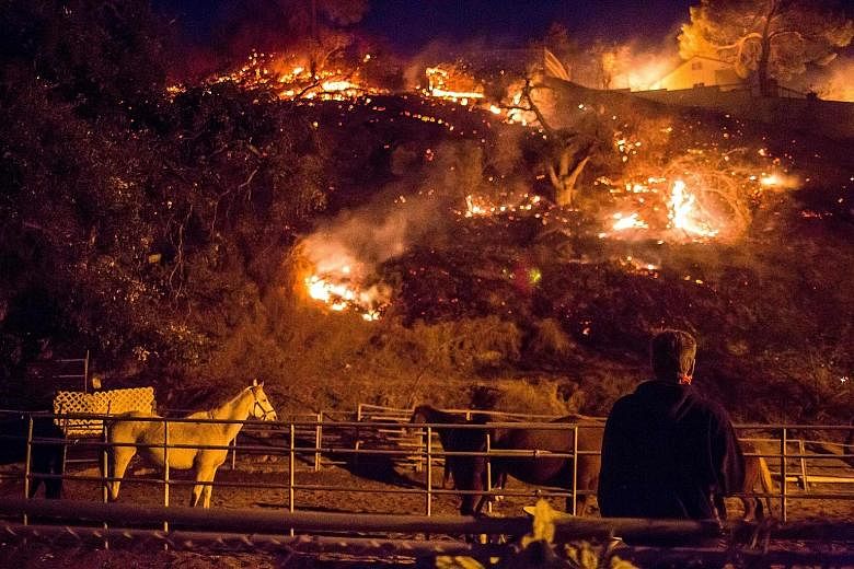 An unrelenting wildfire fanned by hot, dry winds threatened more than 12,000 homes in and around Ventura, California, yesterday, forcing thousands of people to race for safety. The fire, dubbed the Thomas Fire, raged in the foothills above and in the